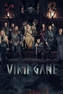 Vikingane adlı Dizi için poster görseli