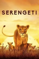 Serengeti adlı Dizi için poster görseli
