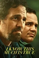 I Know This Much Is True adlı Dizi için poster görseli
