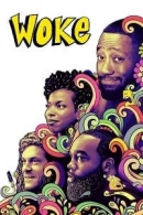 Woke adlı Dizi için poster görseli
