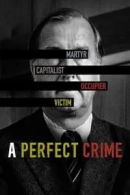A Perfect Crime adlı Dizi için poster görseli