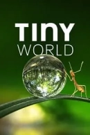 Tiny World adlı Dizi için poster görseli