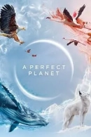 A Perfect Planet adlı Dizi için poster görseli