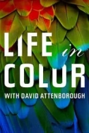 Life in Colour adlı Dizi için poster görseli