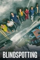 Blindspotting adlı Dizi için poster görseli