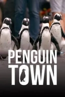 Penguin Town adlı Dizi için poster görseli