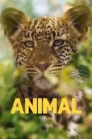 Animal adlı Dizi için poster görseli