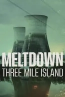 Meltdown: Three Mile Island adlı Dizi için poster görseli