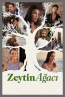 Zeytin Ağacı adlı Dizi için poster görseli