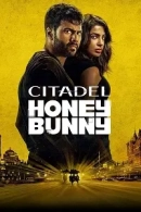 Citadel Honey Bunny adlı Dizi için poster görseli